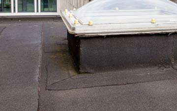 disadvantages of Rothiesholm flat roofs