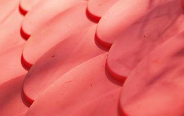 Rothiesholm plastic roof costs