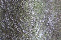 Rothiesholm fibreglass roof work